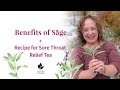 Benefits of sage herb  sage tea benefits  sore throat relief recipe