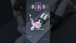 Gym Exercise For Chest Workout Tutorial for Mass & Definition 🏋️♀️ 😎