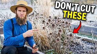STOP Cutting Back These 8 Plants This Fall (The Amish Leave Them Until Spring)