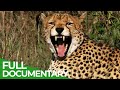 Kenya: A Trip through Wildness | Free Documentary Nature