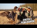 Охота с подсадной. Утка отработала на все 100!