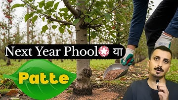 3 Stage Scientific Post-Harvest Nutrition PLAN | Apple Orchard | GrowerShala