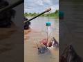 Unbelievable Bamboo Stick & Plastic Bottle Fish Trap #fishvideo #video #shorts
