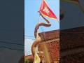 Dangerous Snake Rescue Operation in Residential Area | Must Watch #Shorts