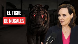 Download Lagu La historia del TIGRE suelto en Nogales MP3