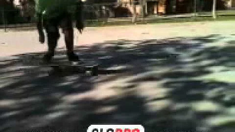 Skate rena guzman