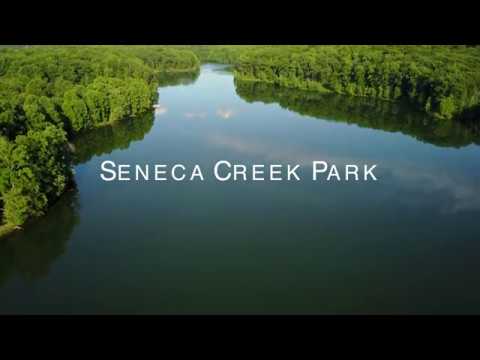 Video: Štátny park Seneca Creek: Kompletný sprievodca