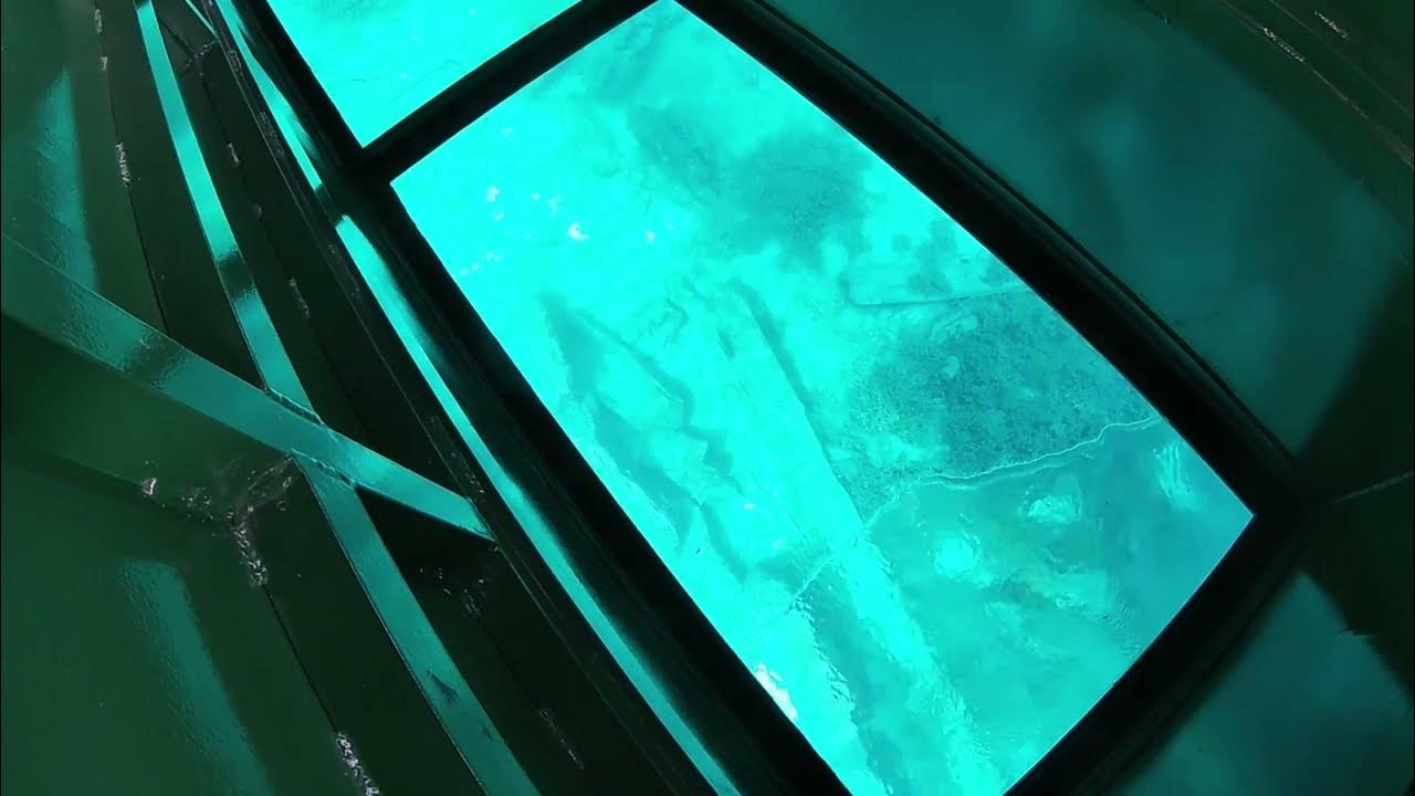 Kayaking with a Manatee and Glass Bottom Boat Tour Florida. YouTube