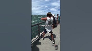 Anh chàng đang câu cá bất ngờ cằn bị gẫy và cái kết đầy bất ngờ 🤯🤯🤑🤑🤑 #shortsvideo