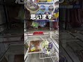 100円で全部取ってみた#UFOキャッチャー #クレーンゲーム #ゲームセンター #攻略 #shorts #youtubeshorts