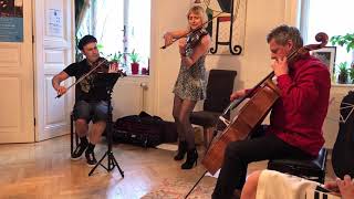 Astor Piazzolla - Revirado, Played By Triology