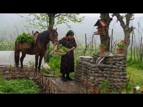 Simple Mountain Living | No Electricity, No Gas, Just Nature