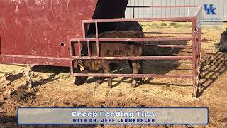 Creep Feeding Tips