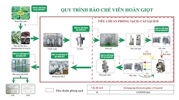 Quy trình sản xuất Viên hoàn giọt đạt tiêu chuẩn chất lượng và uy tín của Dược phẩm PQA.
