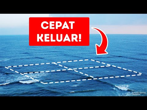 Video: Apa yang dimaksud dengan tali selat?