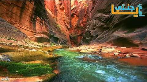 تلاوة خاشعة - سورة الكافرون - أحمد العجمي