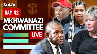 Mkhwanazi Ad Hoc Hears More Public Submissions