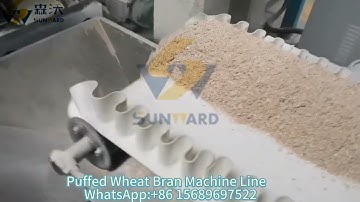 Most selling Big output Puffed Wheat bran making machine line with 800kg/h capacity
