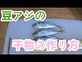 最高のおつまみ【豆アジの干物の作り方】