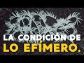 La condicin de lo efmero en el arte contemporneo