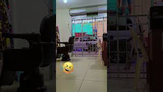 haciendo hora con boby #videos