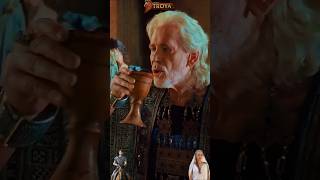 TROY 💥 "Priam celebrates the return of his children"🐴⚔️ #shorts #shortsvideo #troy #film #fyp #movie