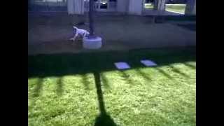 Rooneys Try Out For Sporting Scu