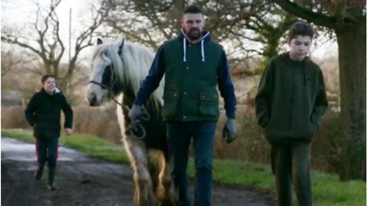 Gypsies Next Door stars move HORSE into garage: 'It's not normal'