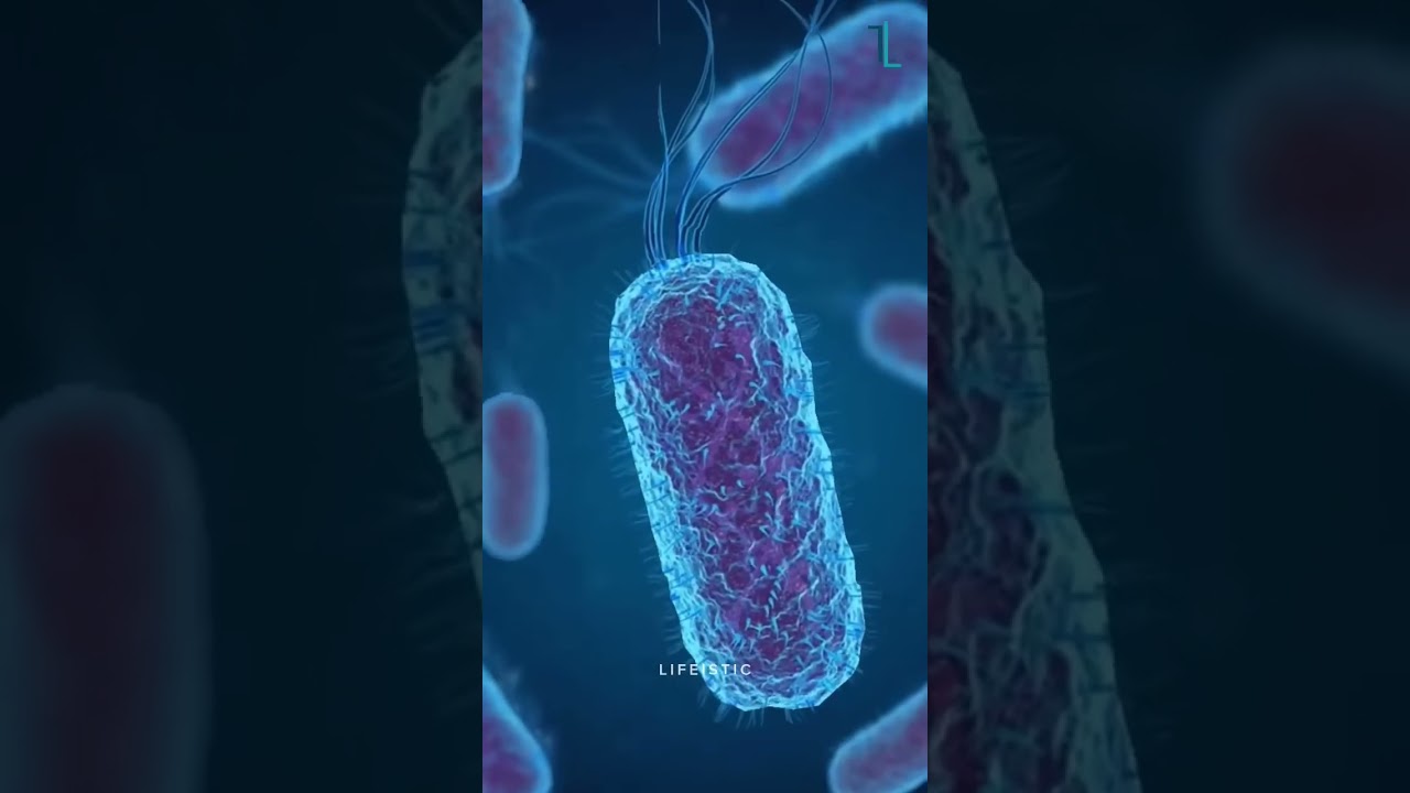 NASA's Concerns About Astronaut Health After Space