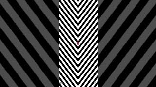 amazing Optical Illusion illusion virals shorts trending