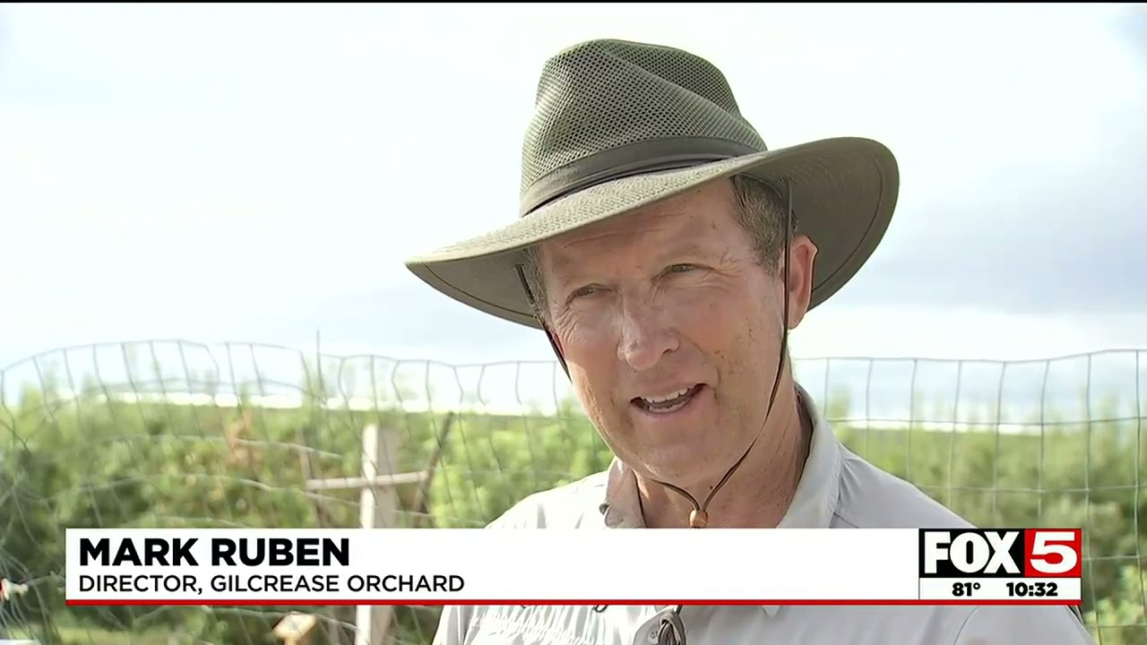 Gilcrease Orchard in Las Vegas vandalized, owners looking for help identifying suspects