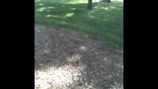 IMG 1716