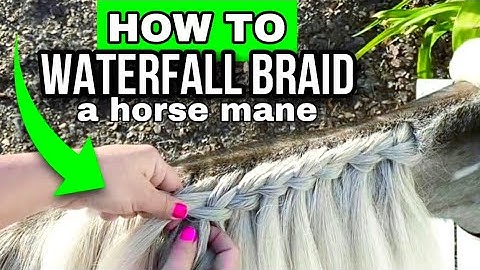 Horse Braiding Tutorial - Waterfall Braid a Mane