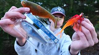 These New Swimbaits and Baits Will Dominate 2026!