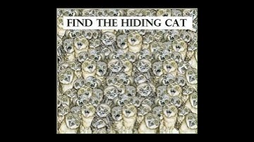 Find the hidden cat. | puzzle #quiz #riddle #tricks #trending #youtubeshorts #shortsvideoviral2023