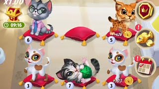 catopedia - merge my cat by octopus games | cats games for kids | android cat gaming | Cats match 3D screenshot 1