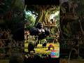 The jungle show Bongo vs Zuzu #funforkids  #animation #familyfun
