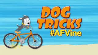 Afv Season 25 Episode 15 Show Highlights1