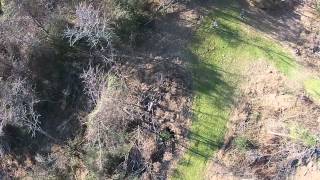 Fayette Property Unauthorized Timber Cut  1/21/15