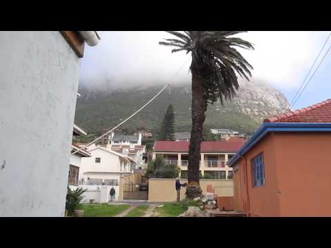 Church damaged as palm tree falls onto building