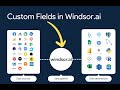 Custom fields in Windsor.ai
