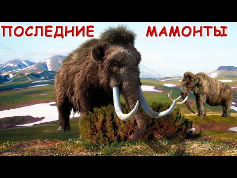 Последние мамонты острова Врангеля. Жизнь и вымирание шерстистых мамонтов