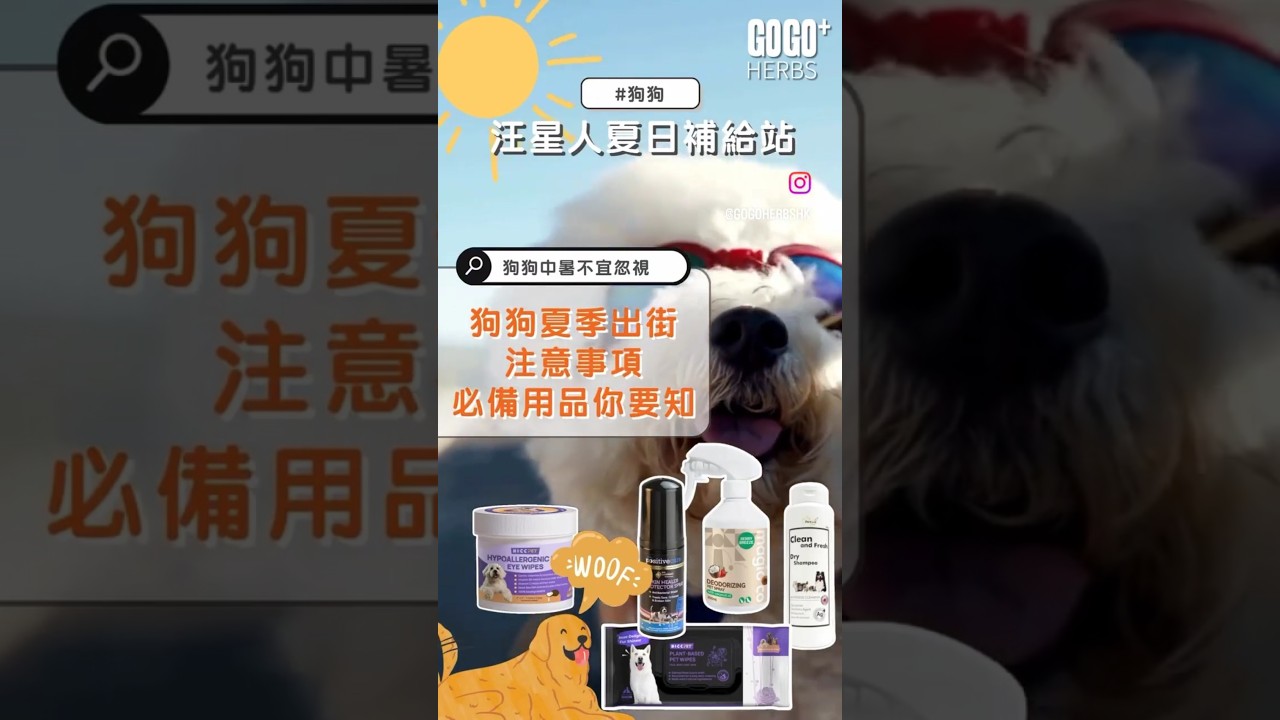 【🌻汪星人夏日補給站🐶】外出必備用品補好補滿⛽✅ #healthy #healthandwellness #instahealth #dog #營養 #健康 #健康飲食 #保健品 #寵物 #狗 #中暑