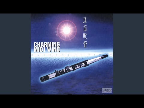 Смотреть «逆风飞扬» на YouTube