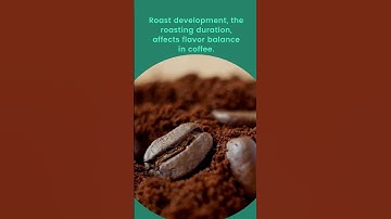 Coffee Beans - Coffee Bean Roast Development