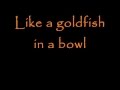Imitation of life - R.E.M. (Lyrics)