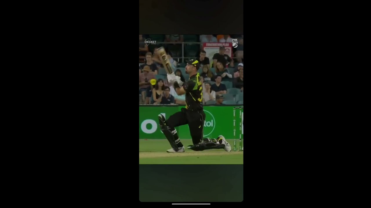 Maxwell Reverse Six