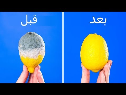 فيديو: كيف تحافظ على الطعام طازجًا ولذيذًا