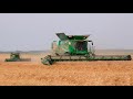 Завершение уборочной в Беларуси / 4X John Deere S700-й серии, FENDT IDEAL 9 / МАЗы 6430 и др.