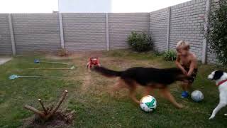 VID 20200326 WA0165